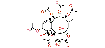 Violide O